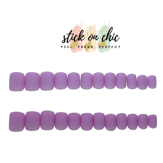 Velvet Lilac Dream
