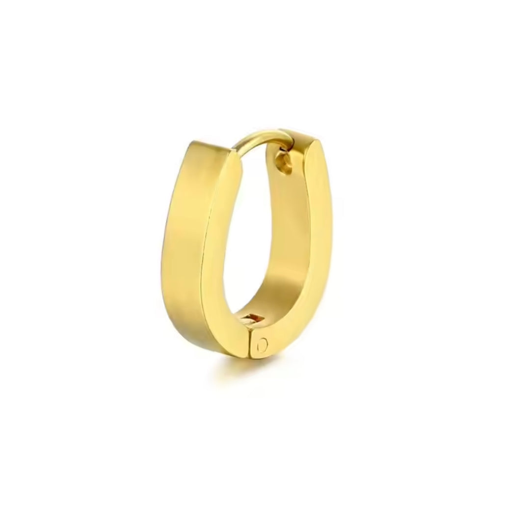 Small golden hoops