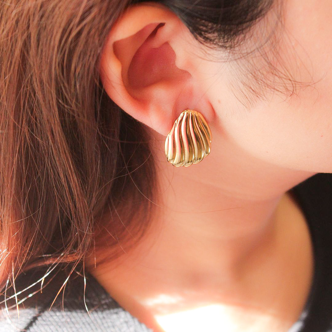 Seashell Elegance