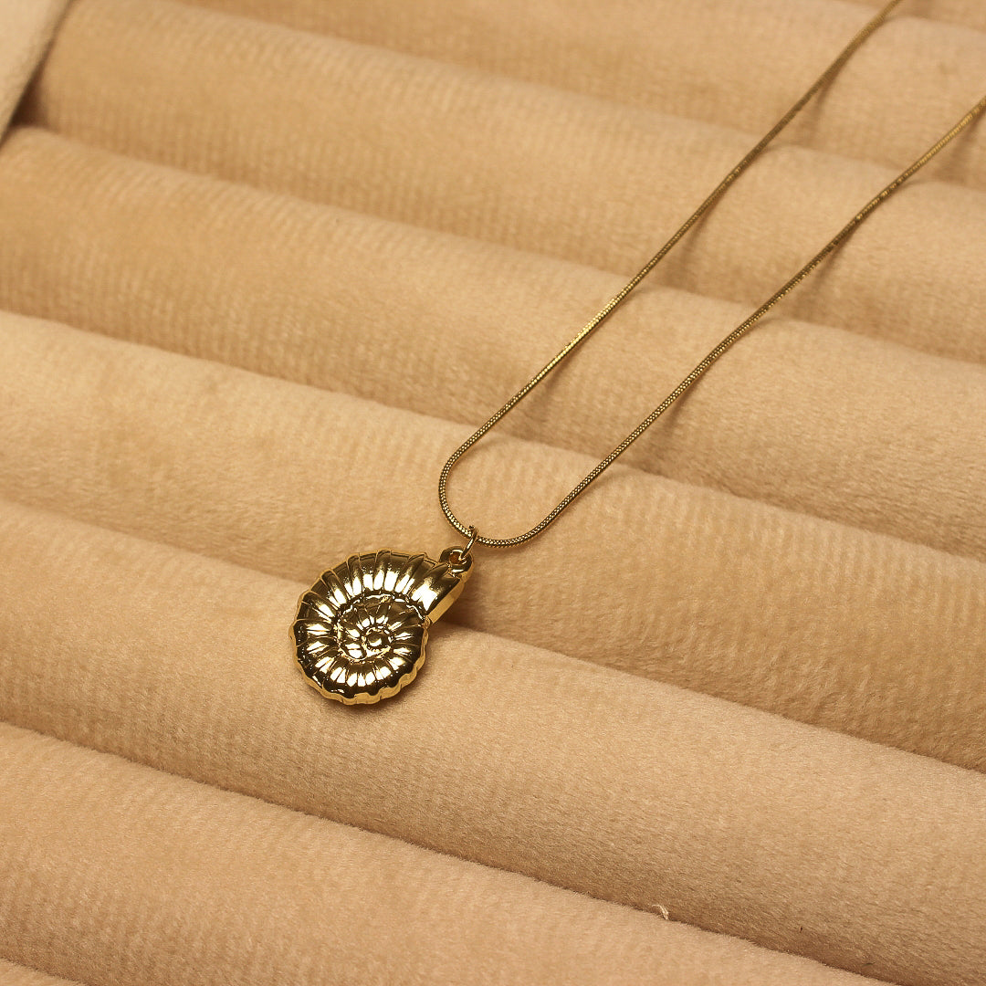 Seashell necklace