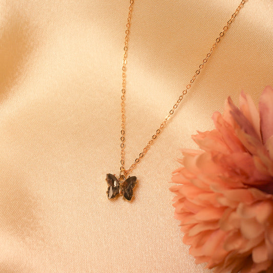 Grey butterfly