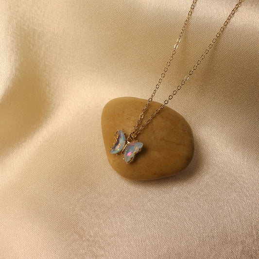 Multi color Butterfly
