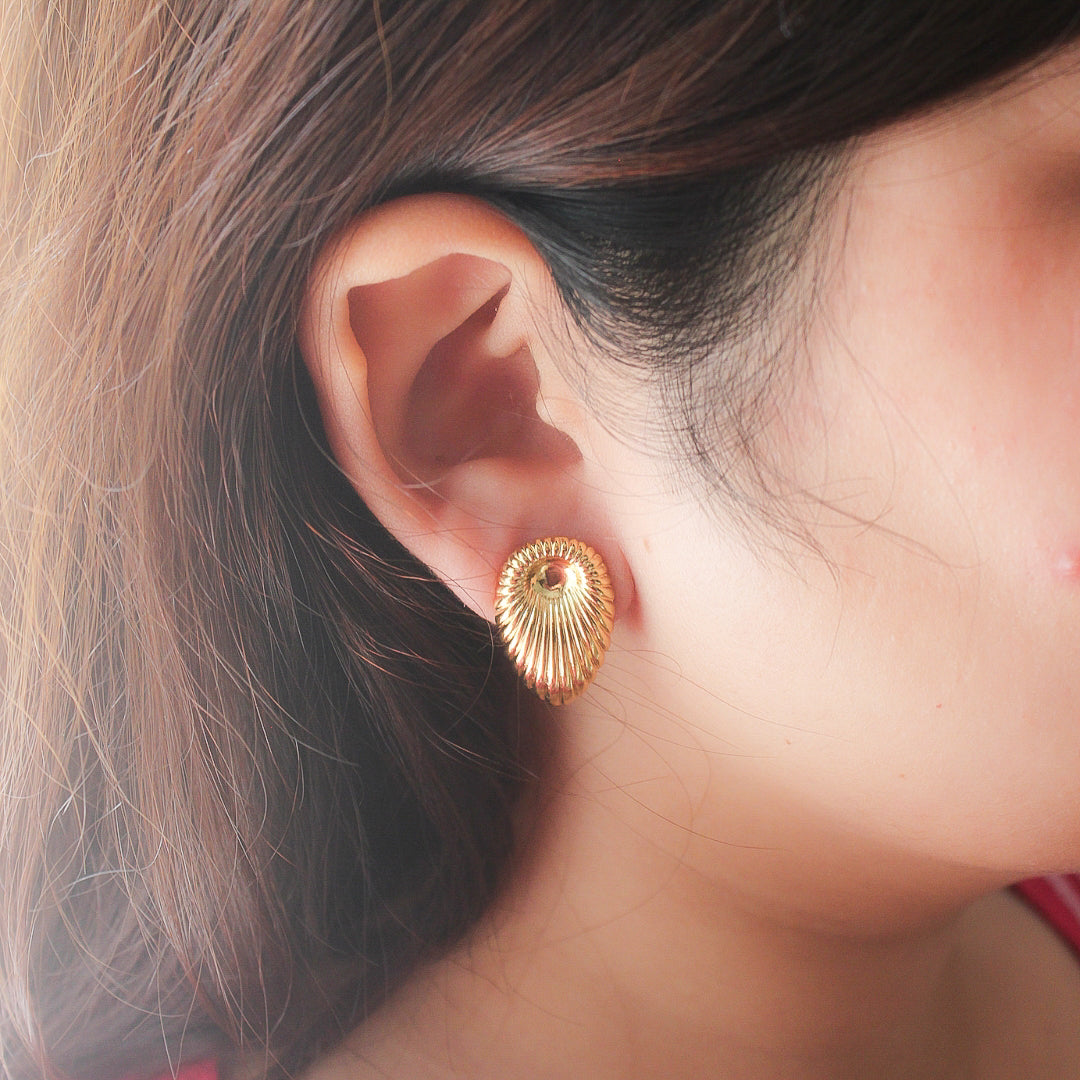 Beach Shell earrings